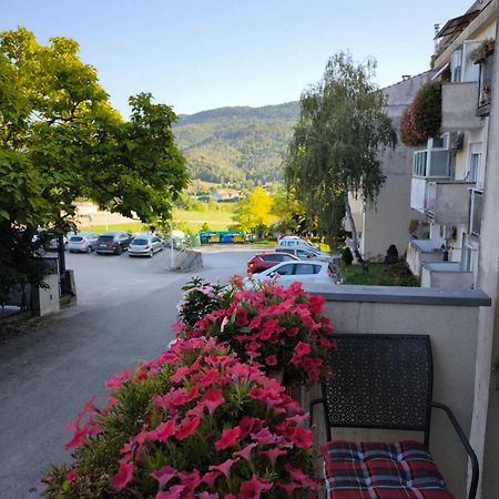 Apartman Snjeska Buzet Dış mekan fotoğraf