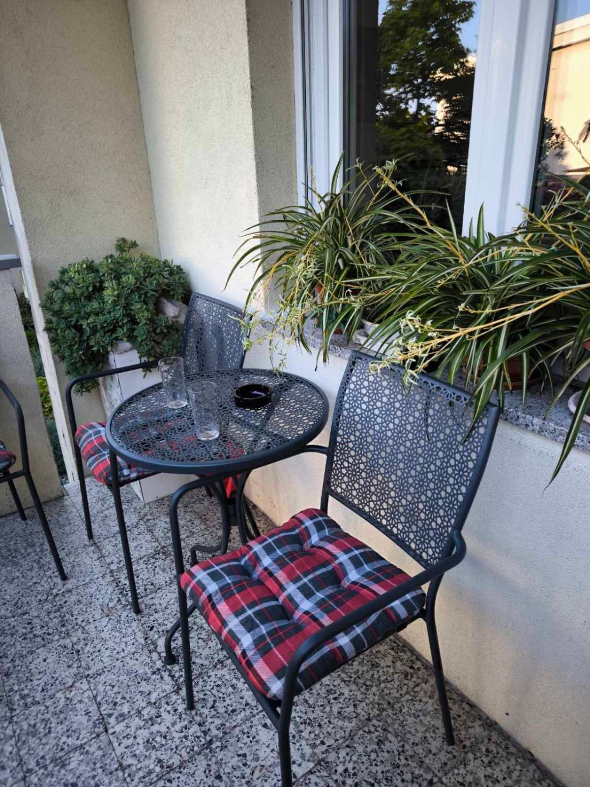 Apartman Snjeska Buzet Dış mekan fotoğraf