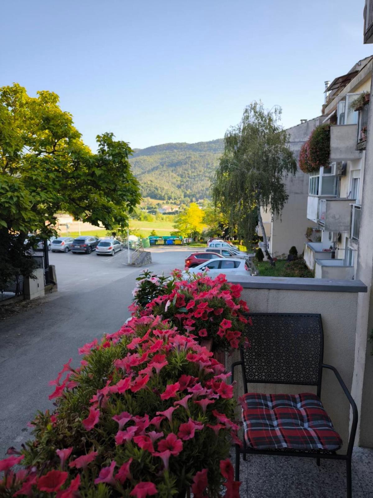 Apartman Snjeska Buzet Dış mekan fotoğraf